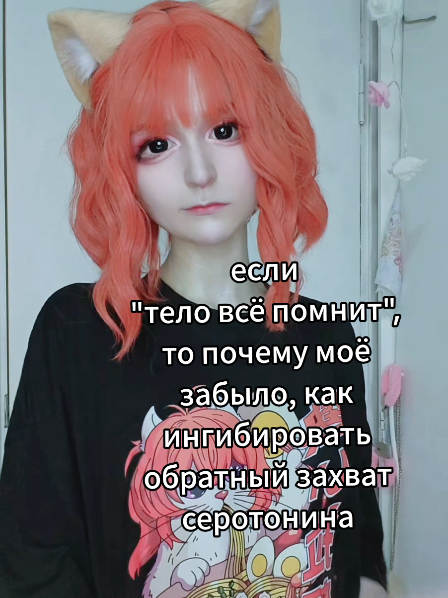 @Rina Tigramisu