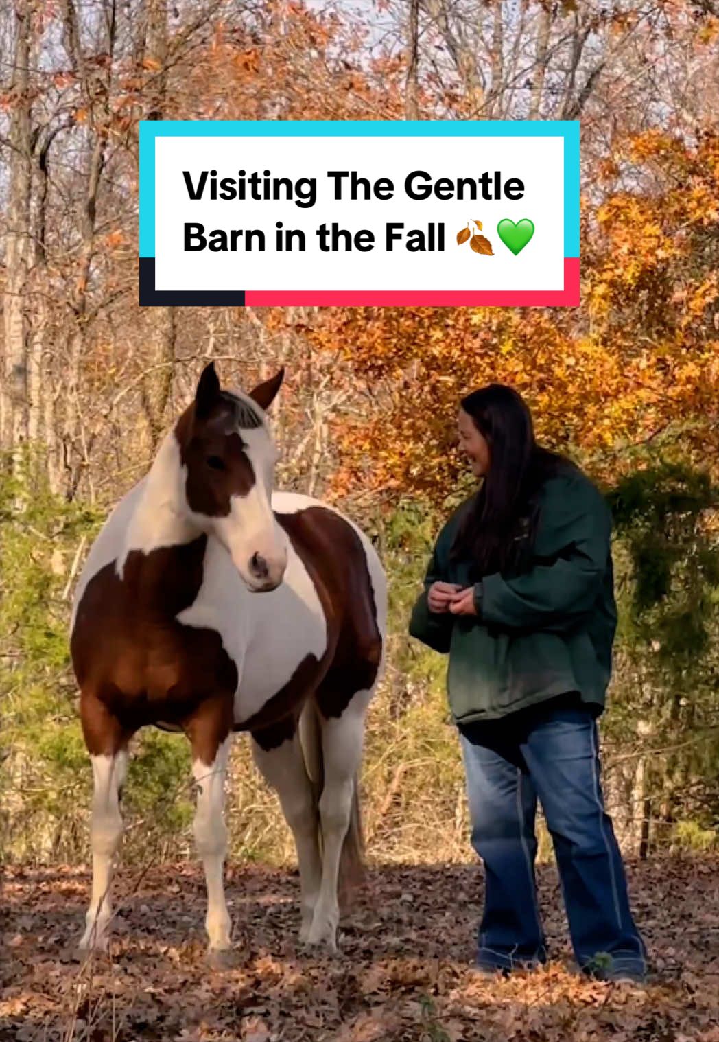 @The Gentle Barn | Sanctuary