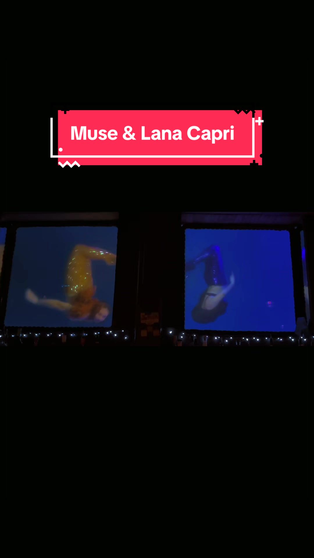 @Muse the Mermaid ®