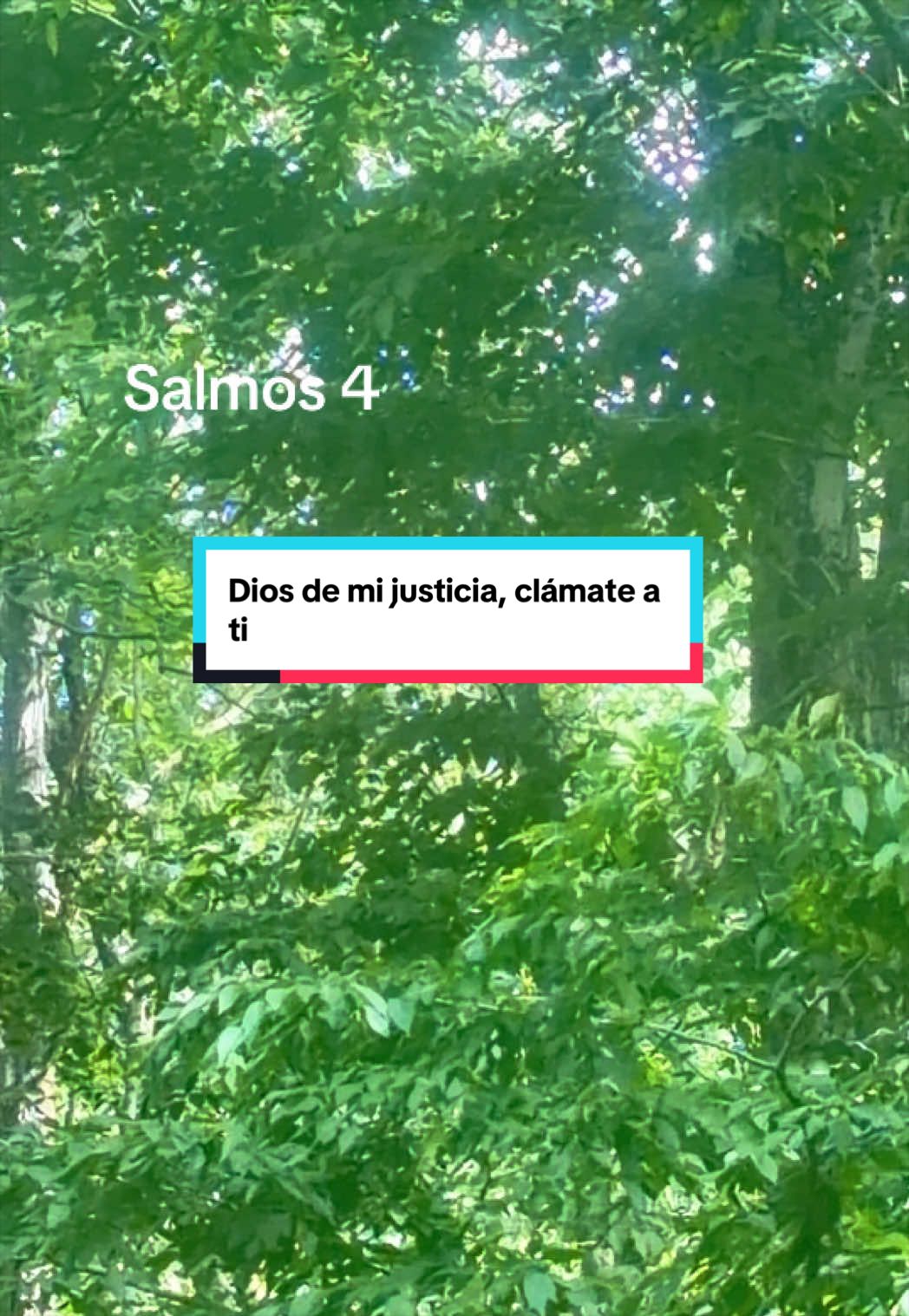 @JUDIT