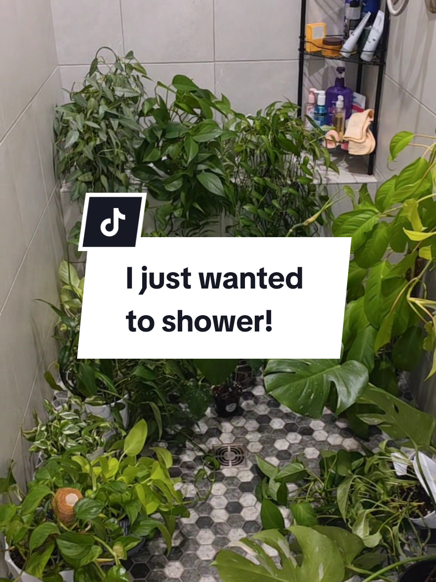 @RedheadedPlantLady