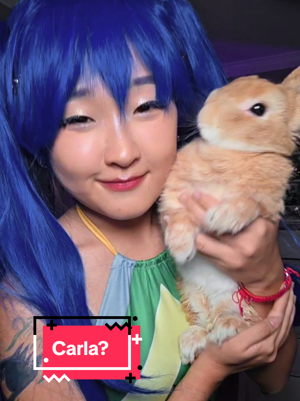 @Windbeater ♡ Twitch Streamer ♡