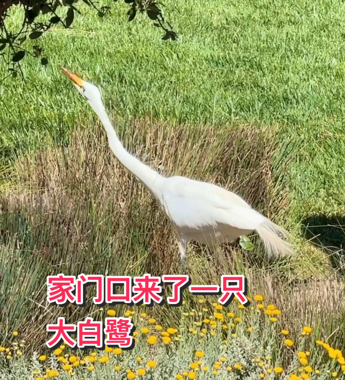 @画家赵纯