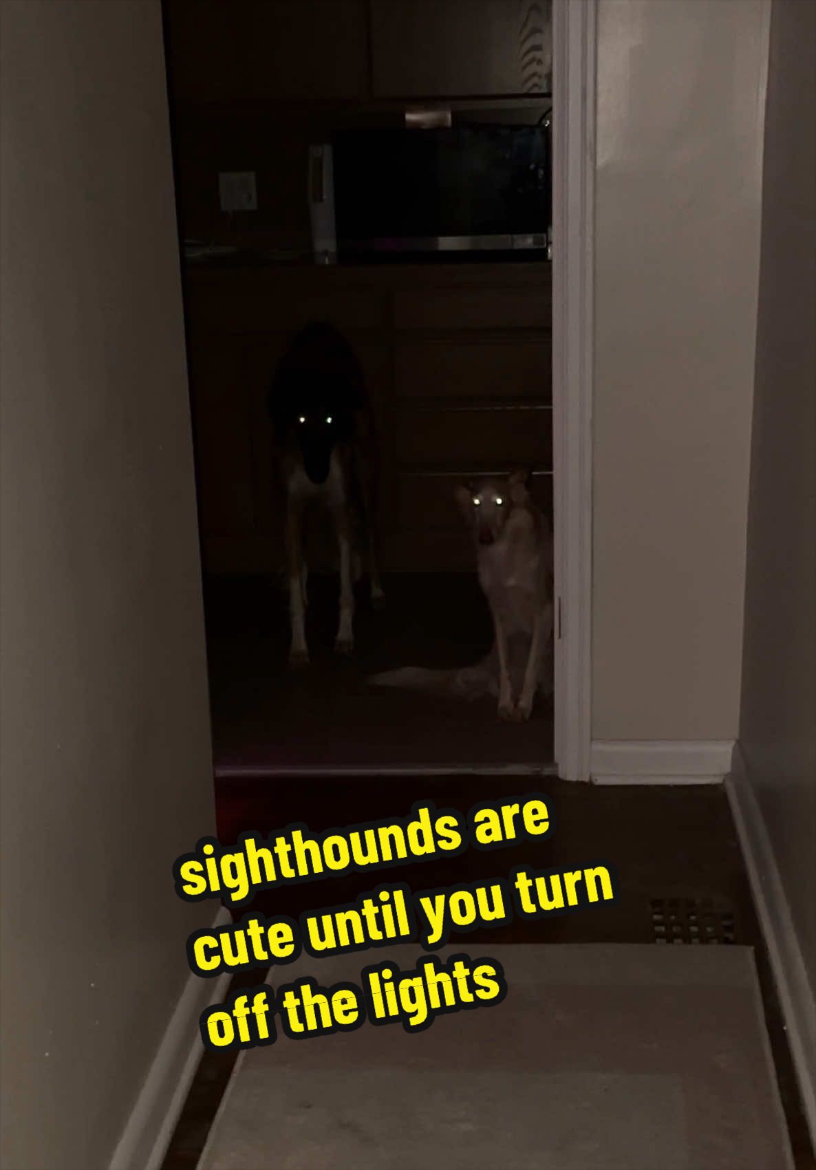 @cleolonglegs