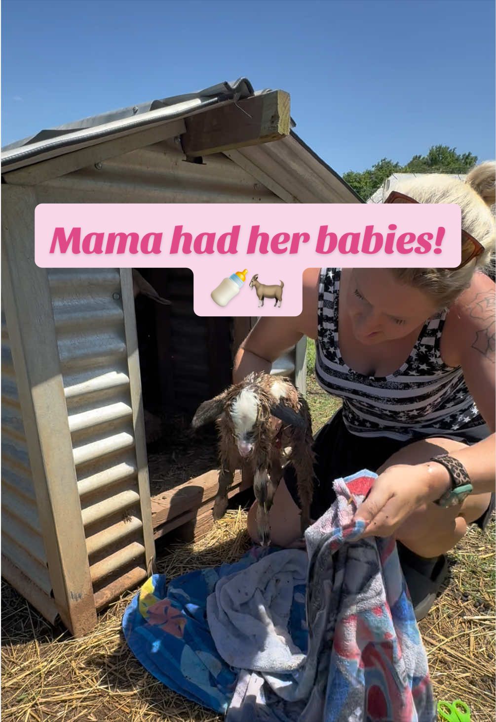 @Momma Tay🐐🐓👩🏼&zwj;🌾💕