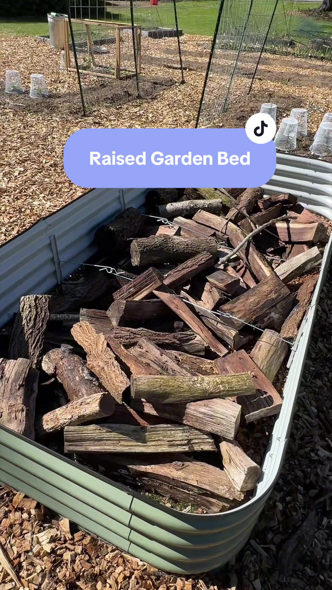 @Manica | zone 6a gardener