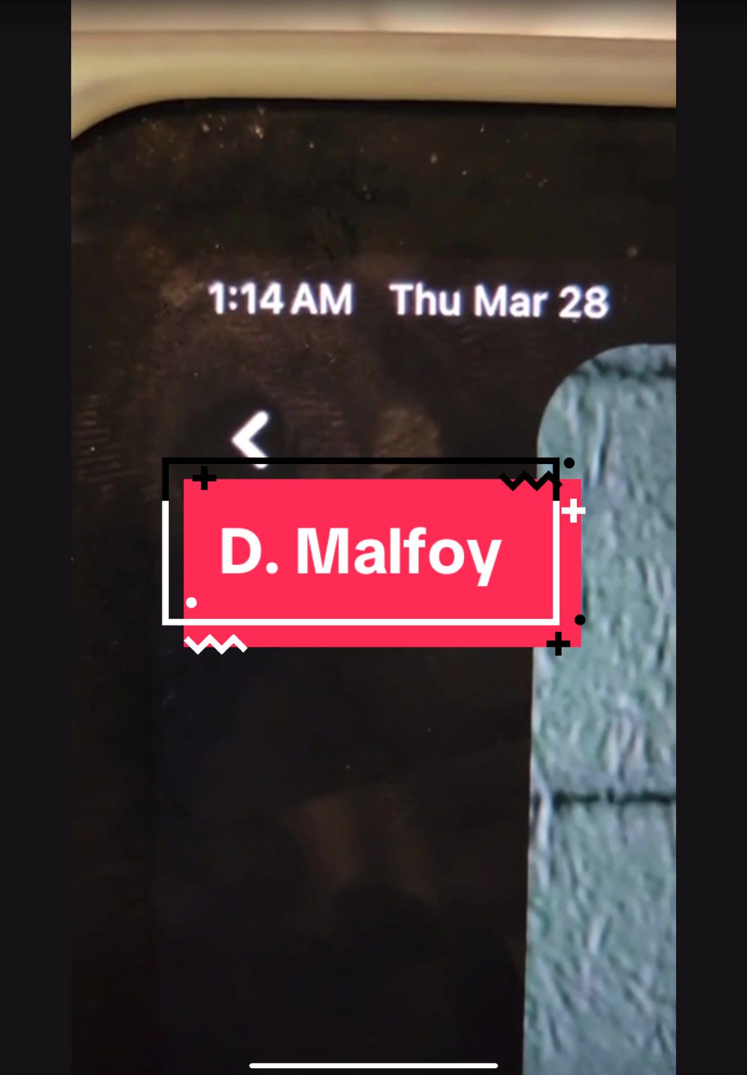 @drarry🐍⚡️🦁