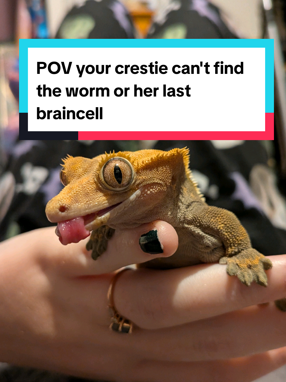 @Ryan
