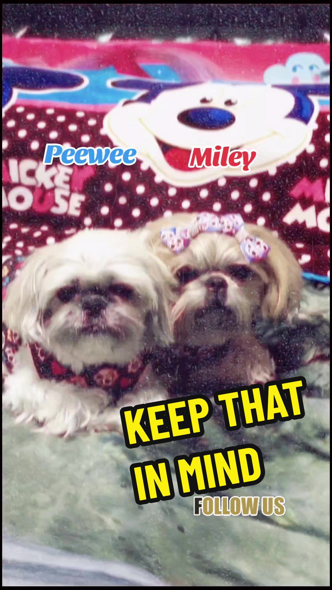 @peeweeandmiley