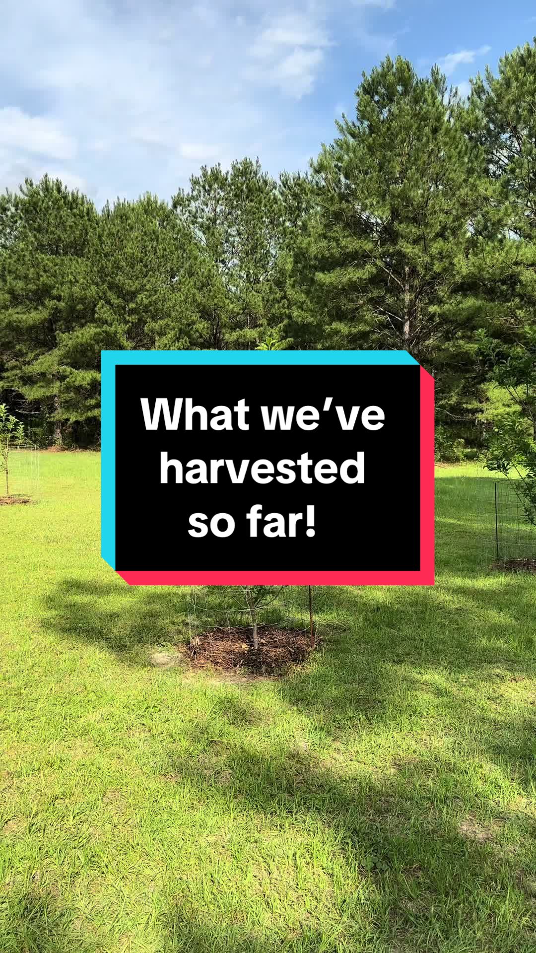 @Old_Stillmore_Homestead
