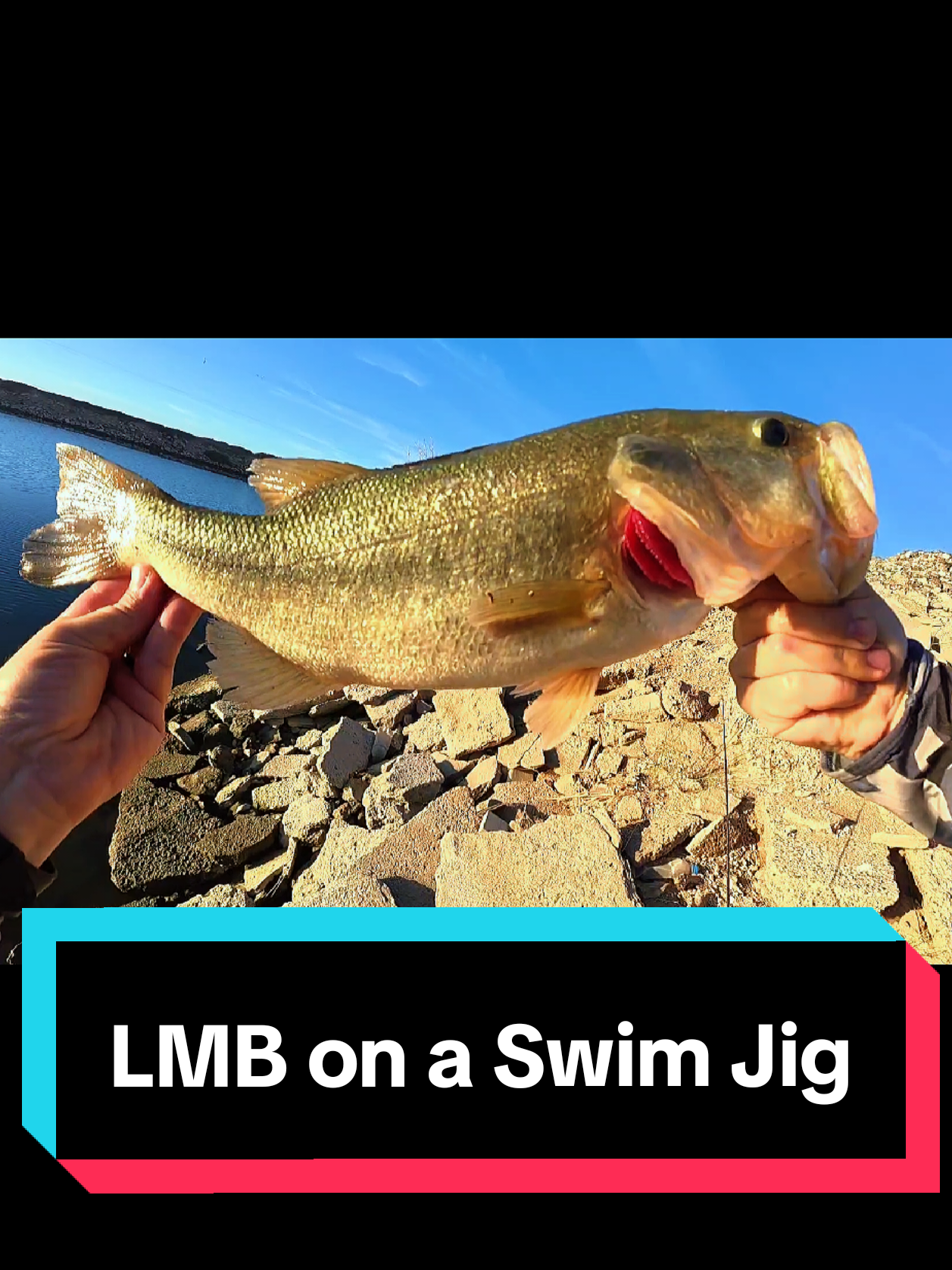 @SalmonInTheDesert