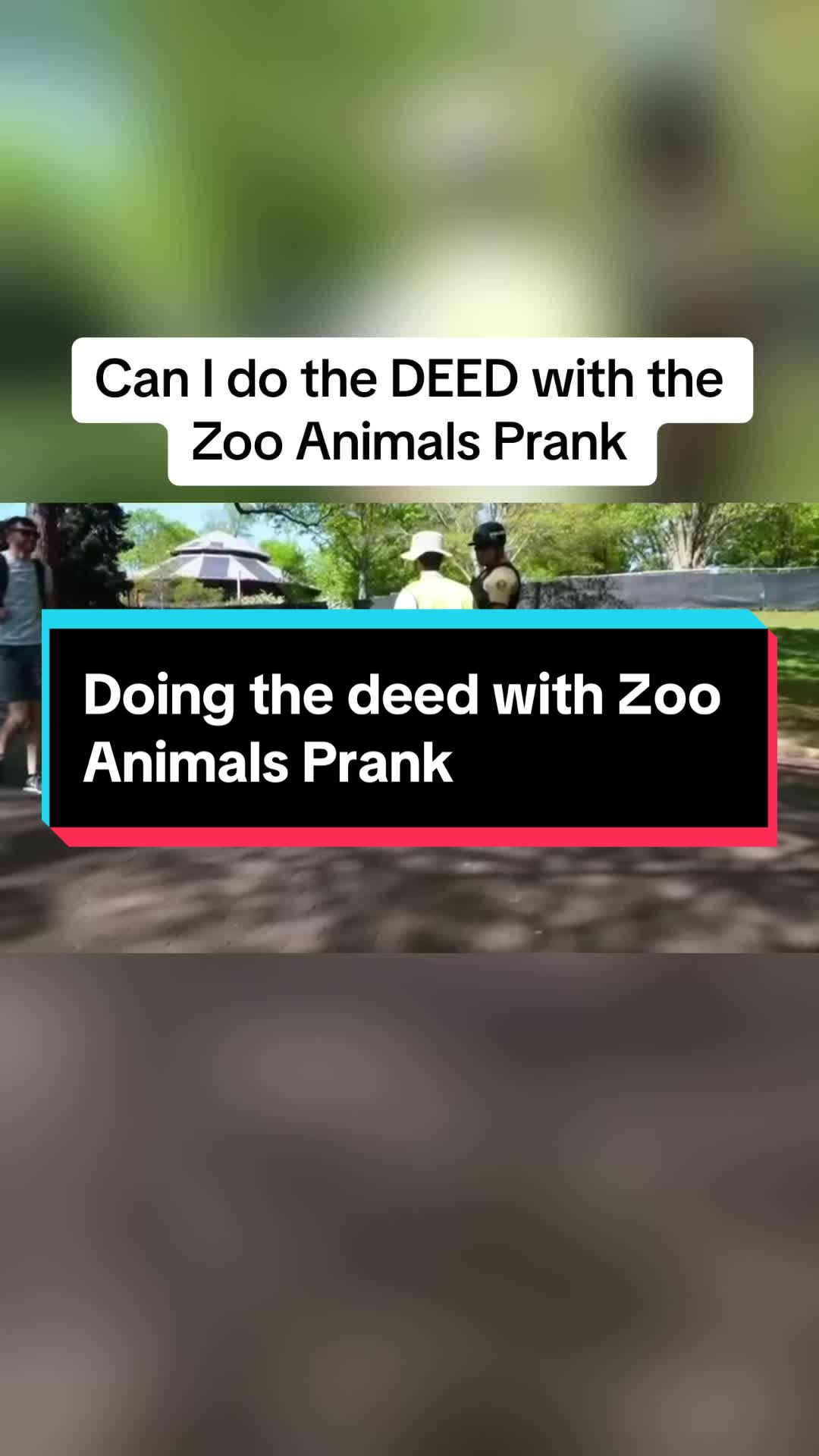 @prankclips.co