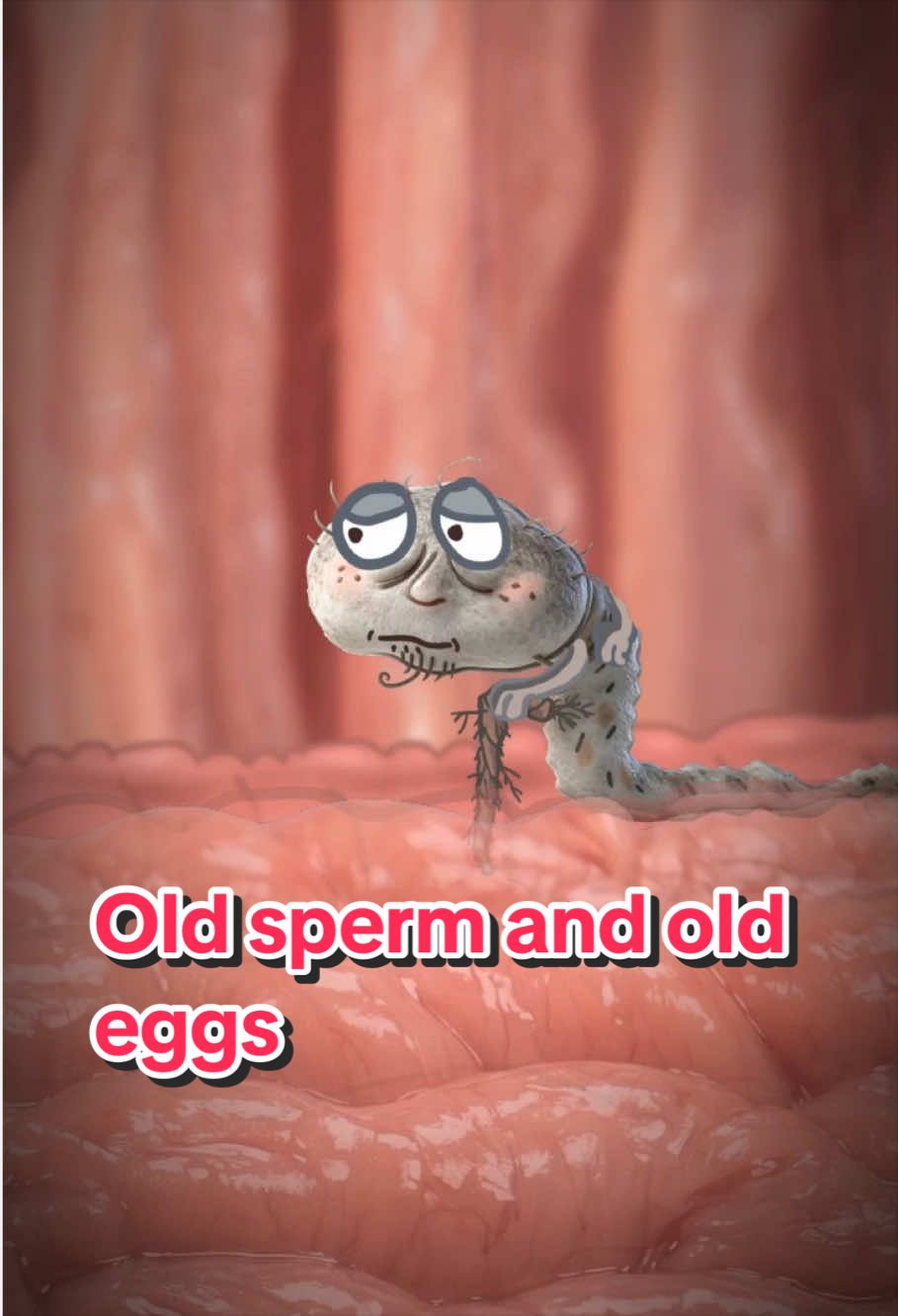 @Funny Animations