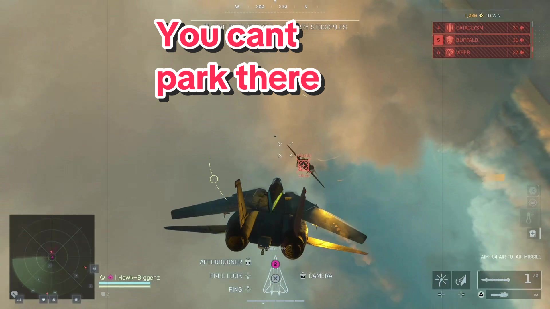 @Hawk Biggenz