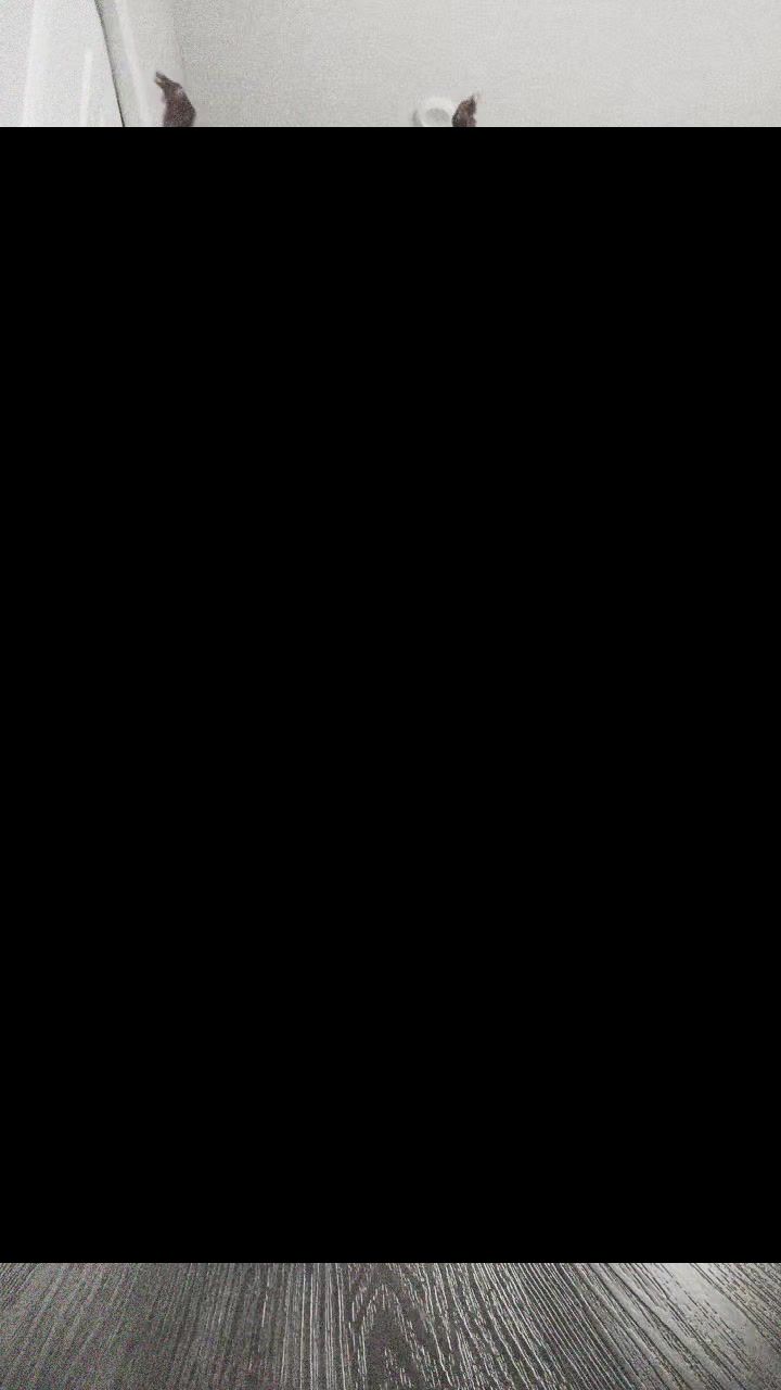@🇰🇪