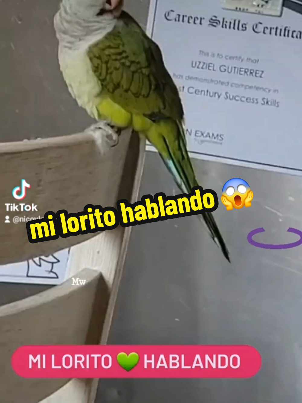 @Nico
