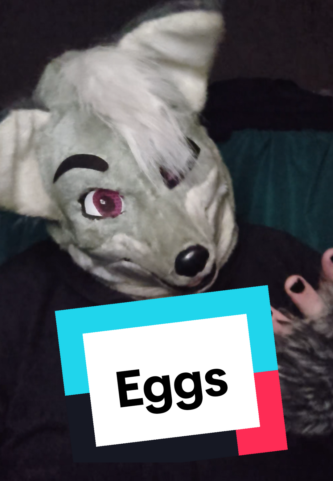 @kilolf5