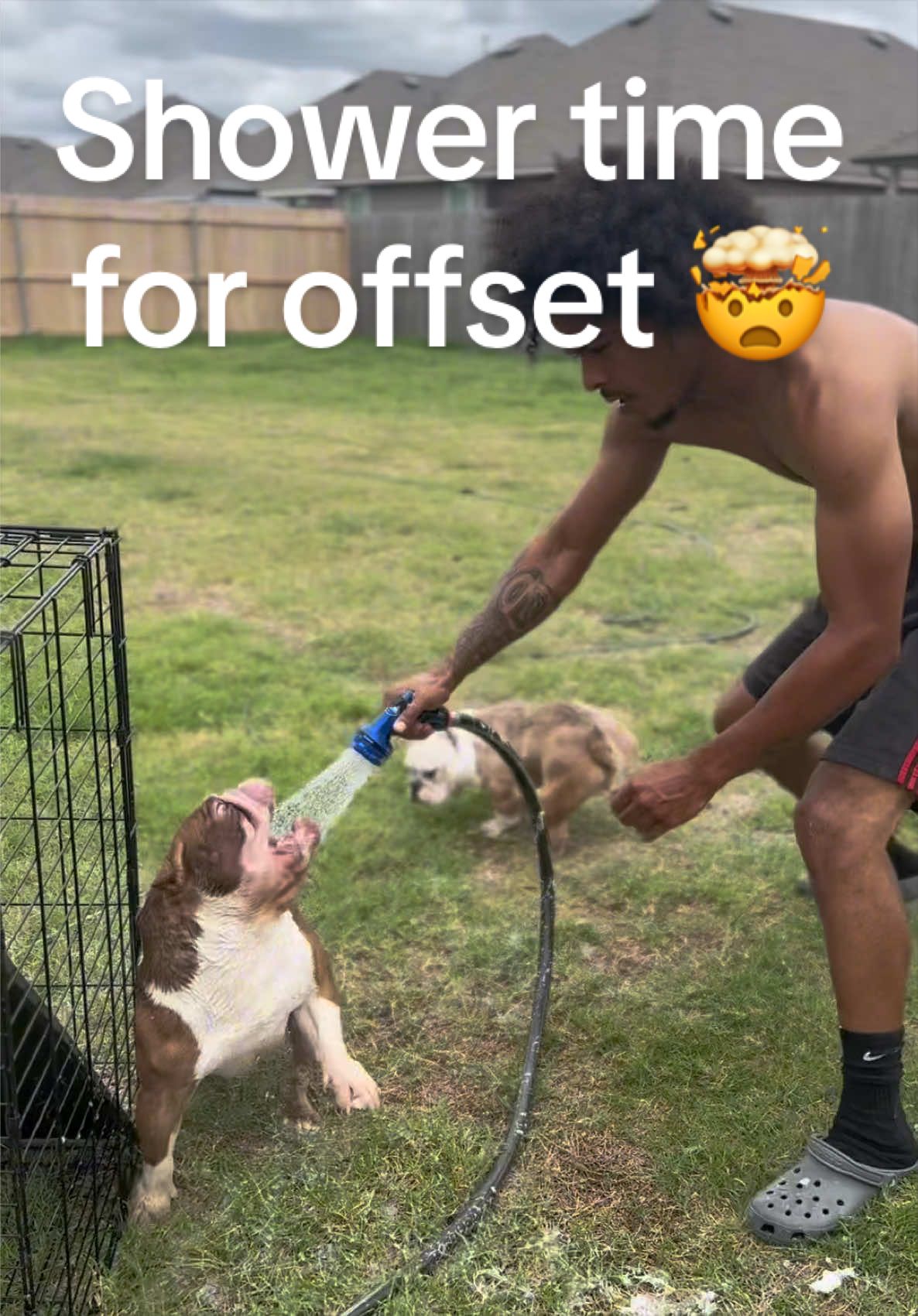 @FamousBullyOffset
