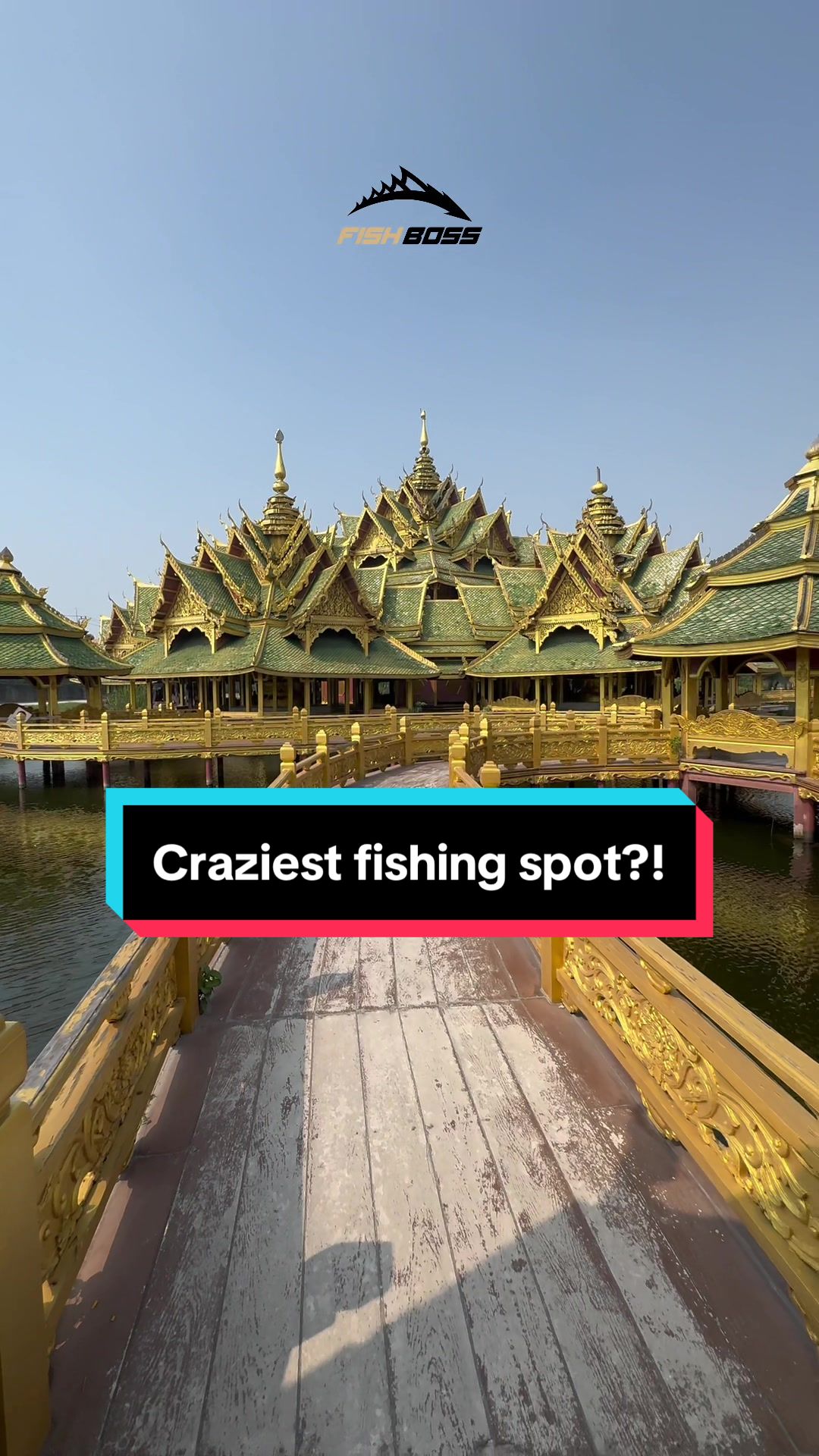 @Fish Boss 🎣Fishing Videos🇵🇭