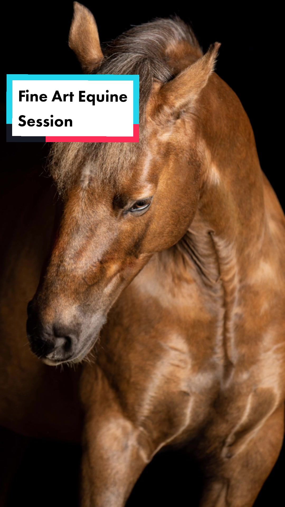 @Beth - Epona Media
