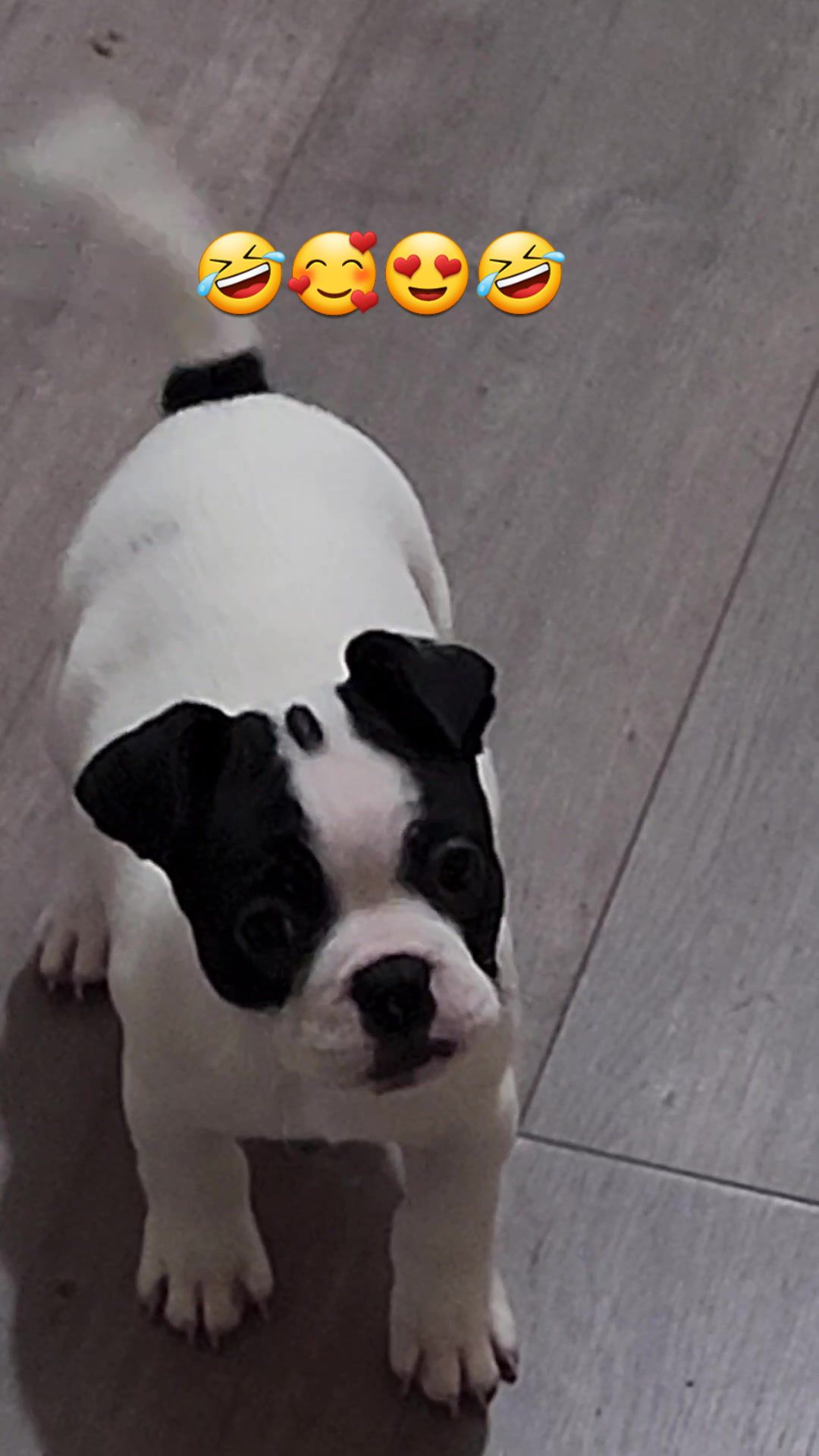 @Linda Fuss