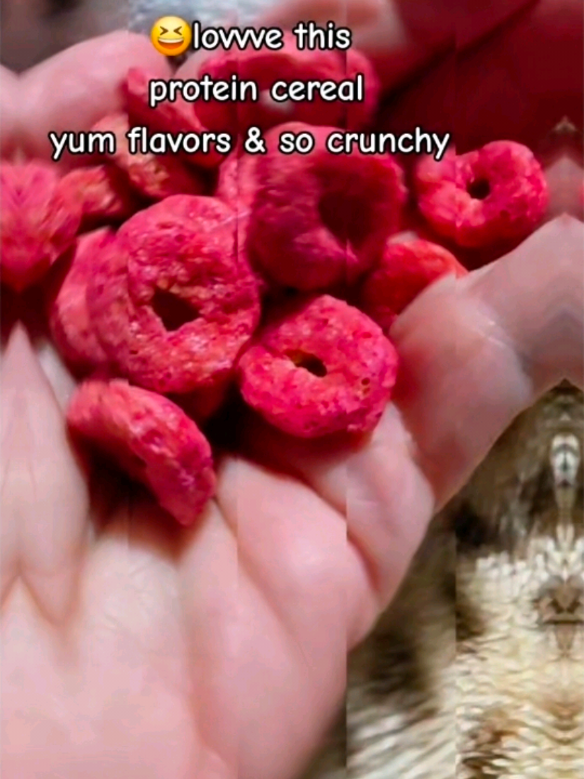 @𝕮𝖍𝖗𝖎𝖘𝖙𝖎𝖓𝖆