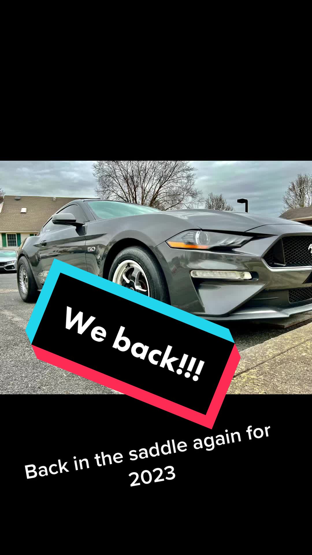 @fear_toothless