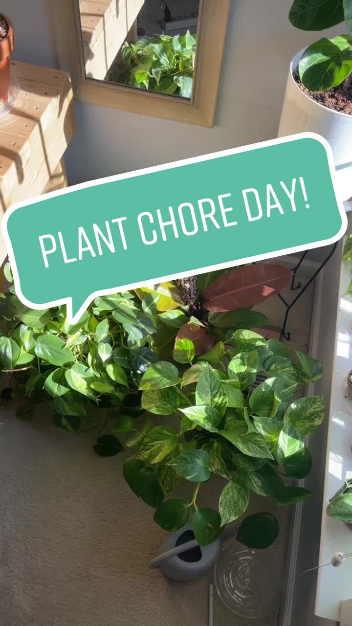 @plants 🌿