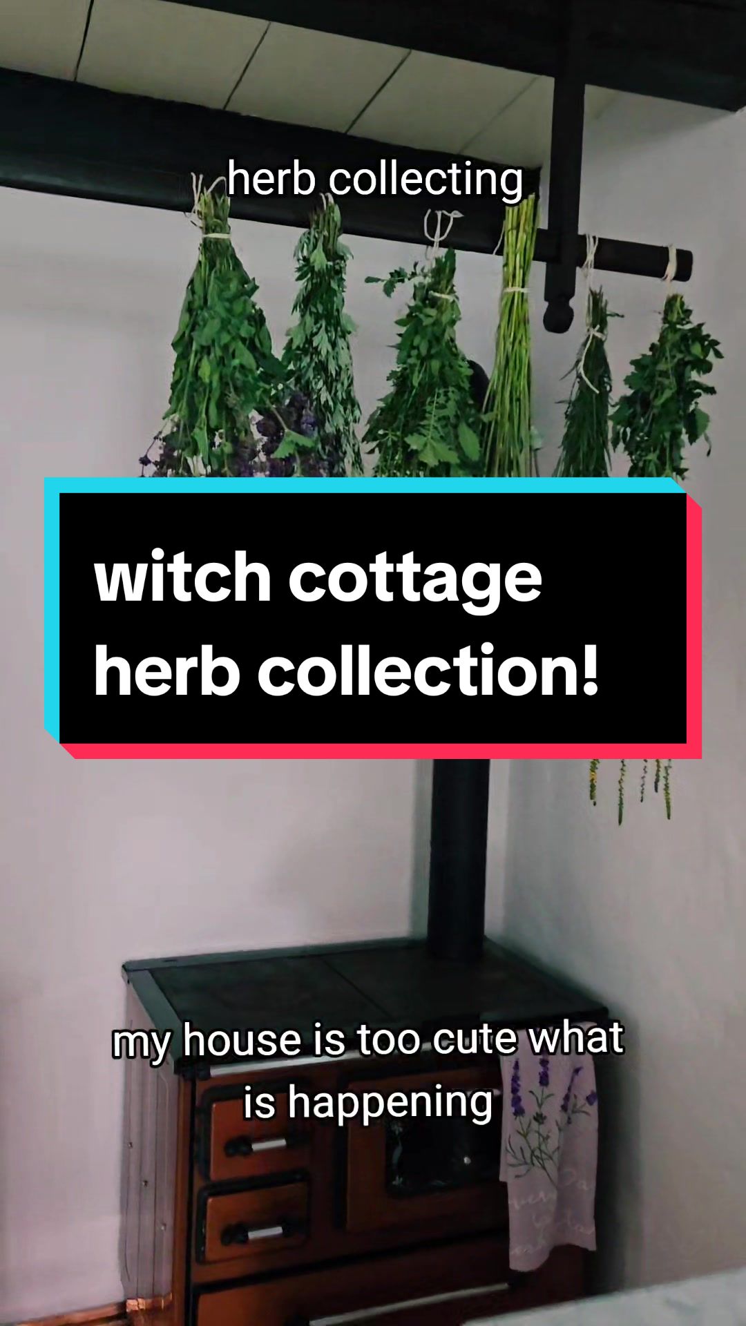 @MacabreMagicalCurios