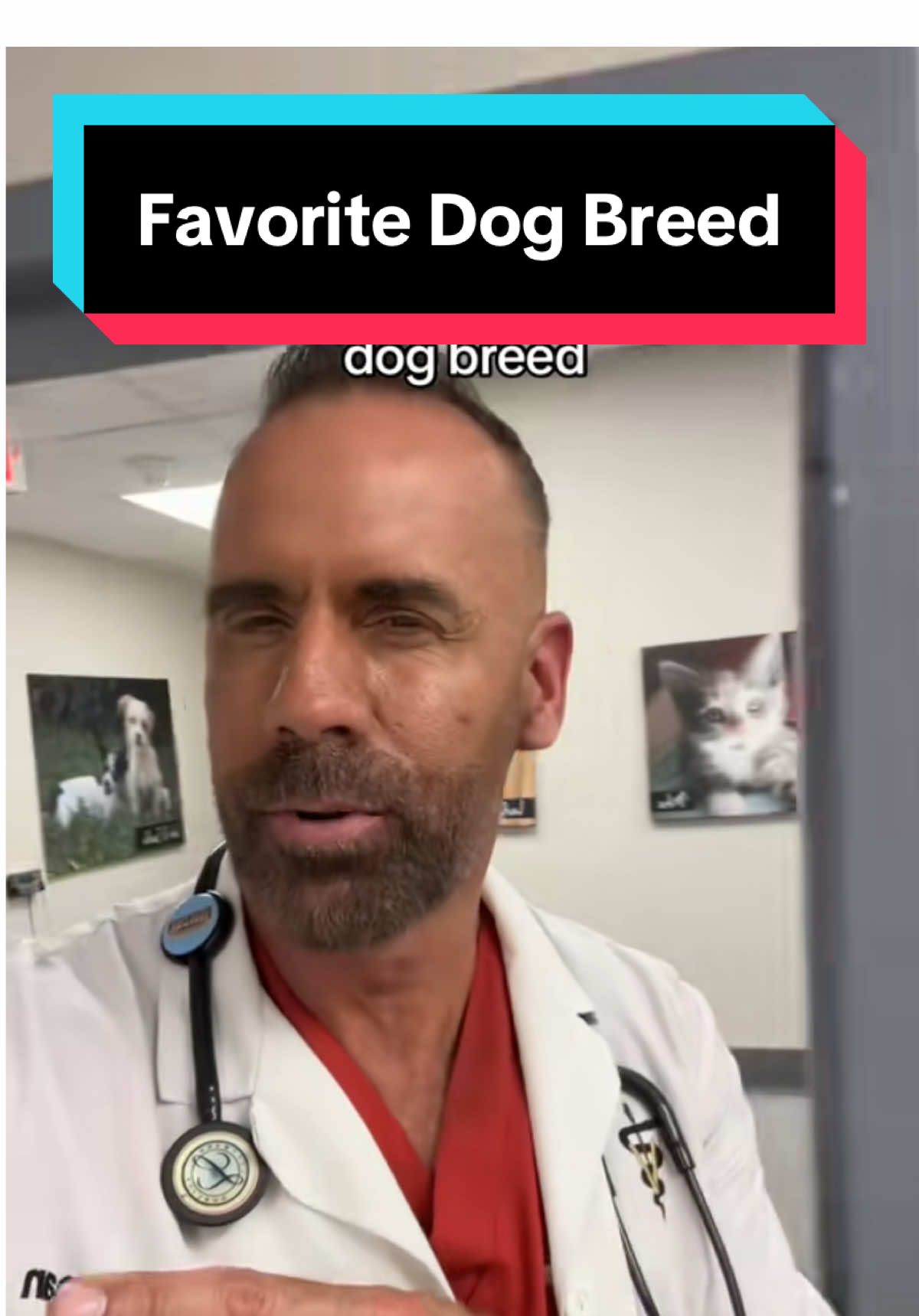 @dr.adam_christman_Veterinarian