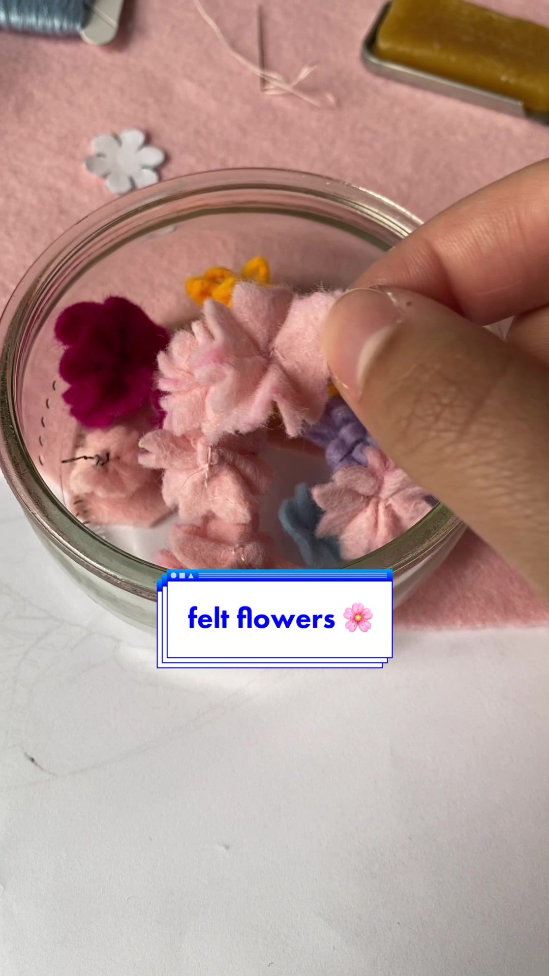 @Megan 🌸