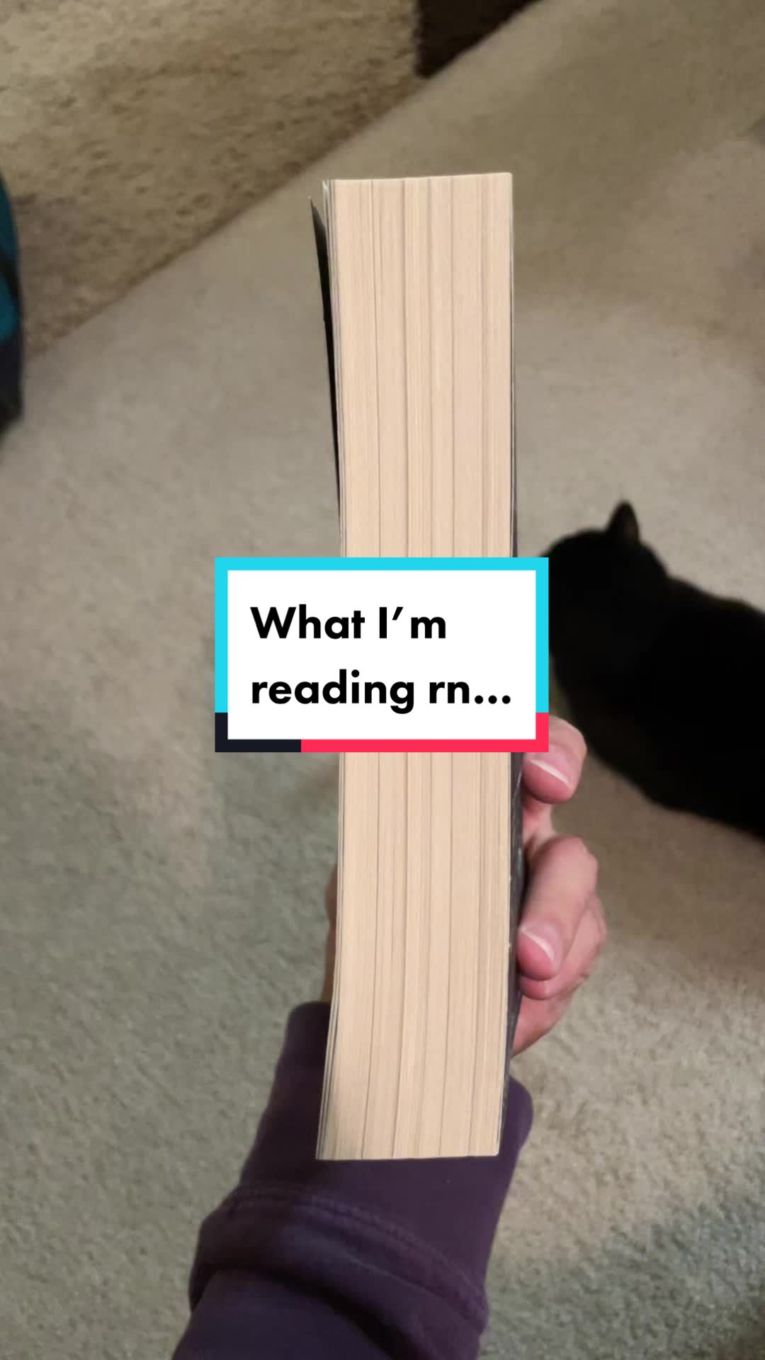 @Hayden.Reads
