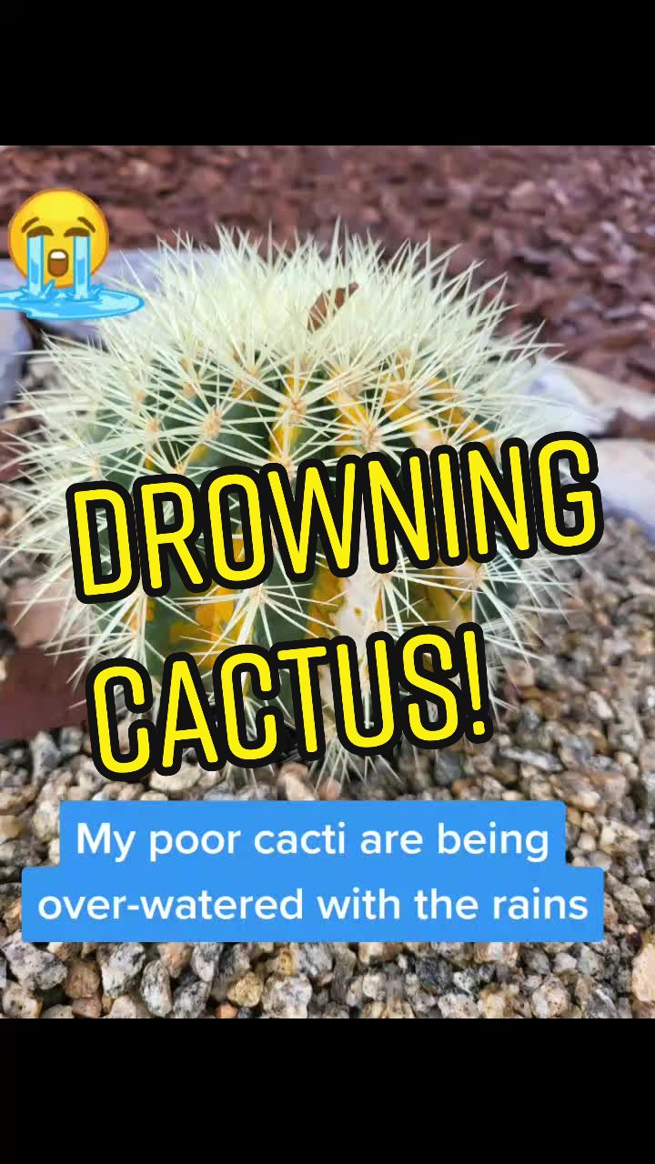 @The BabiesNBeardies Nurse