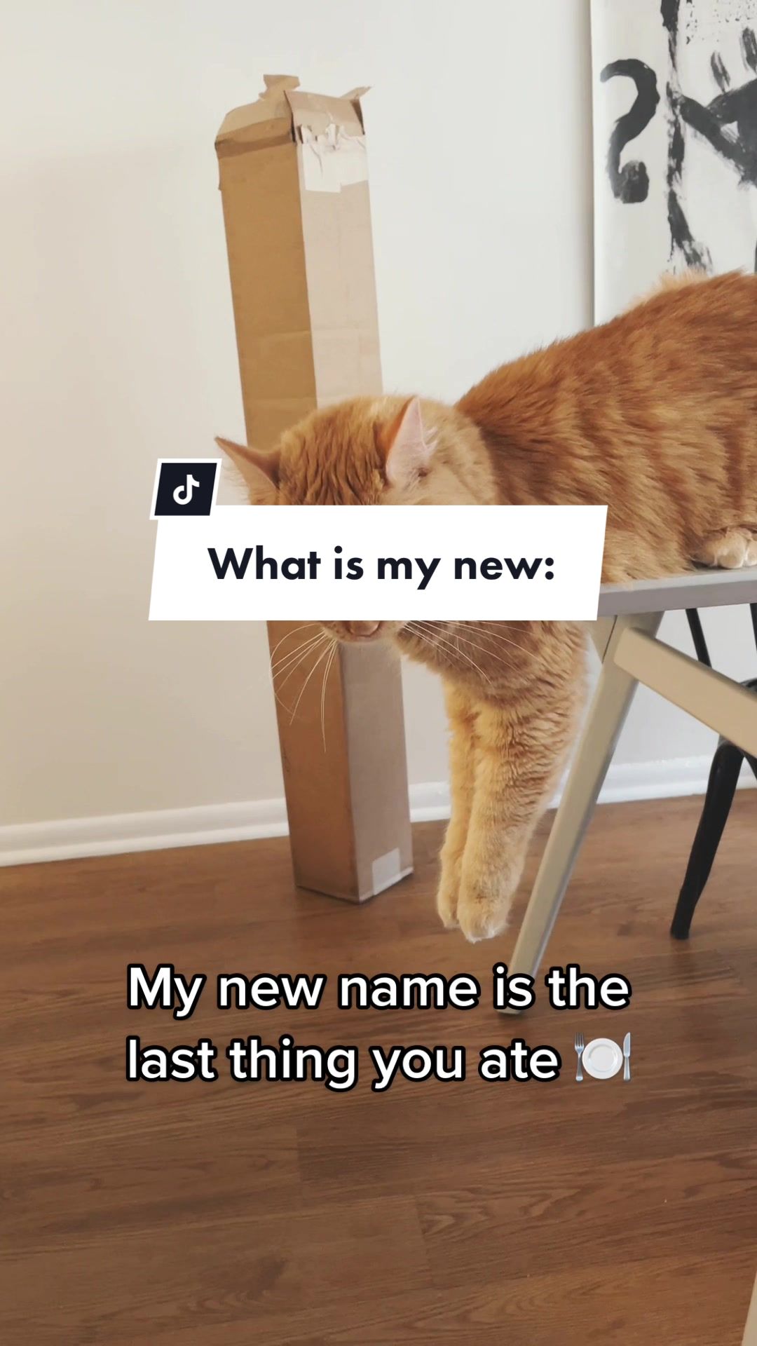 @Oh Charlie Cat