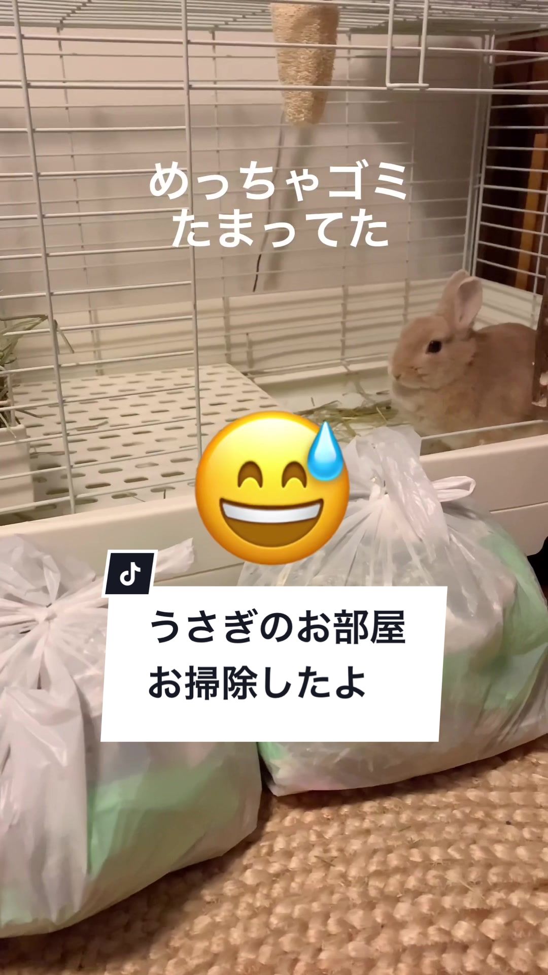 @うさぎと暮らす田中