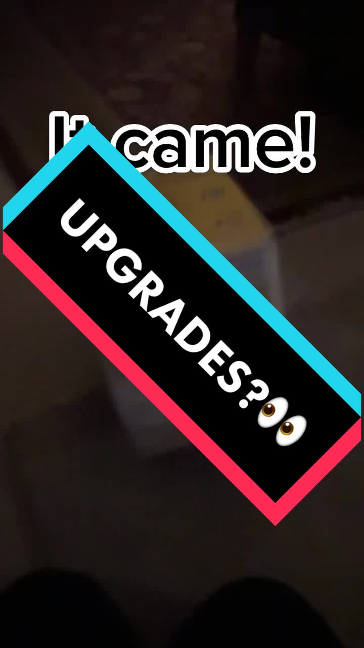 @RoxyTheFolf