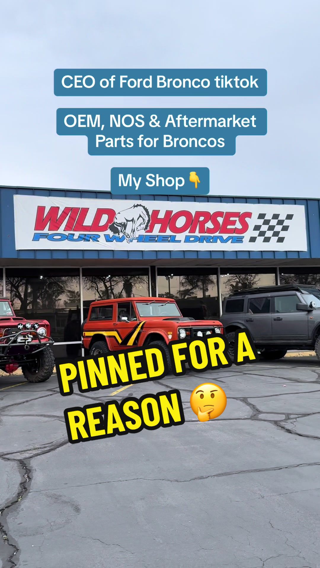 @Wild Horses Broncos