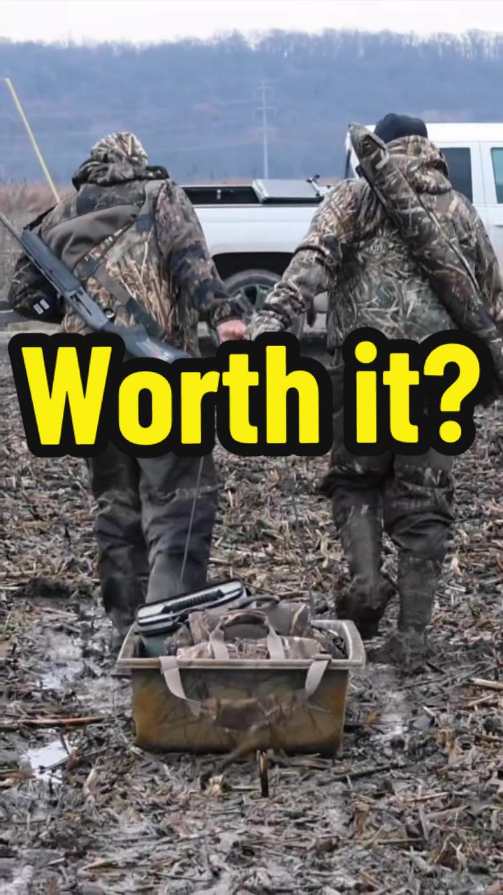 @Birdbath Waterfowl🦆