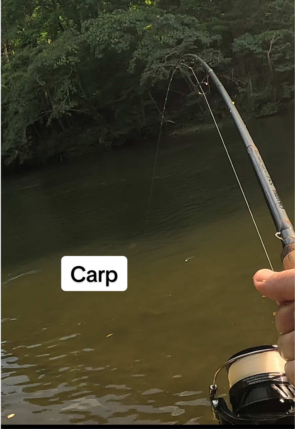 @Dunamis Angling