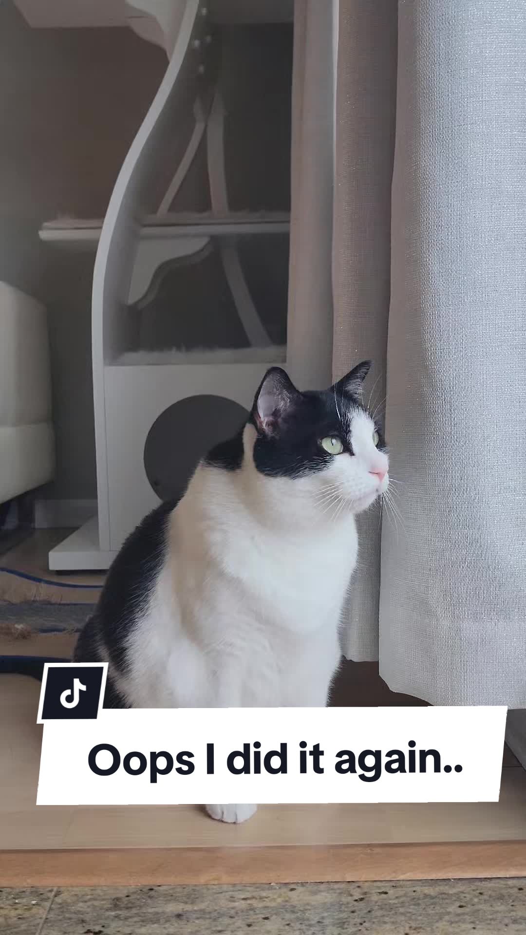 @The Refined Feline
