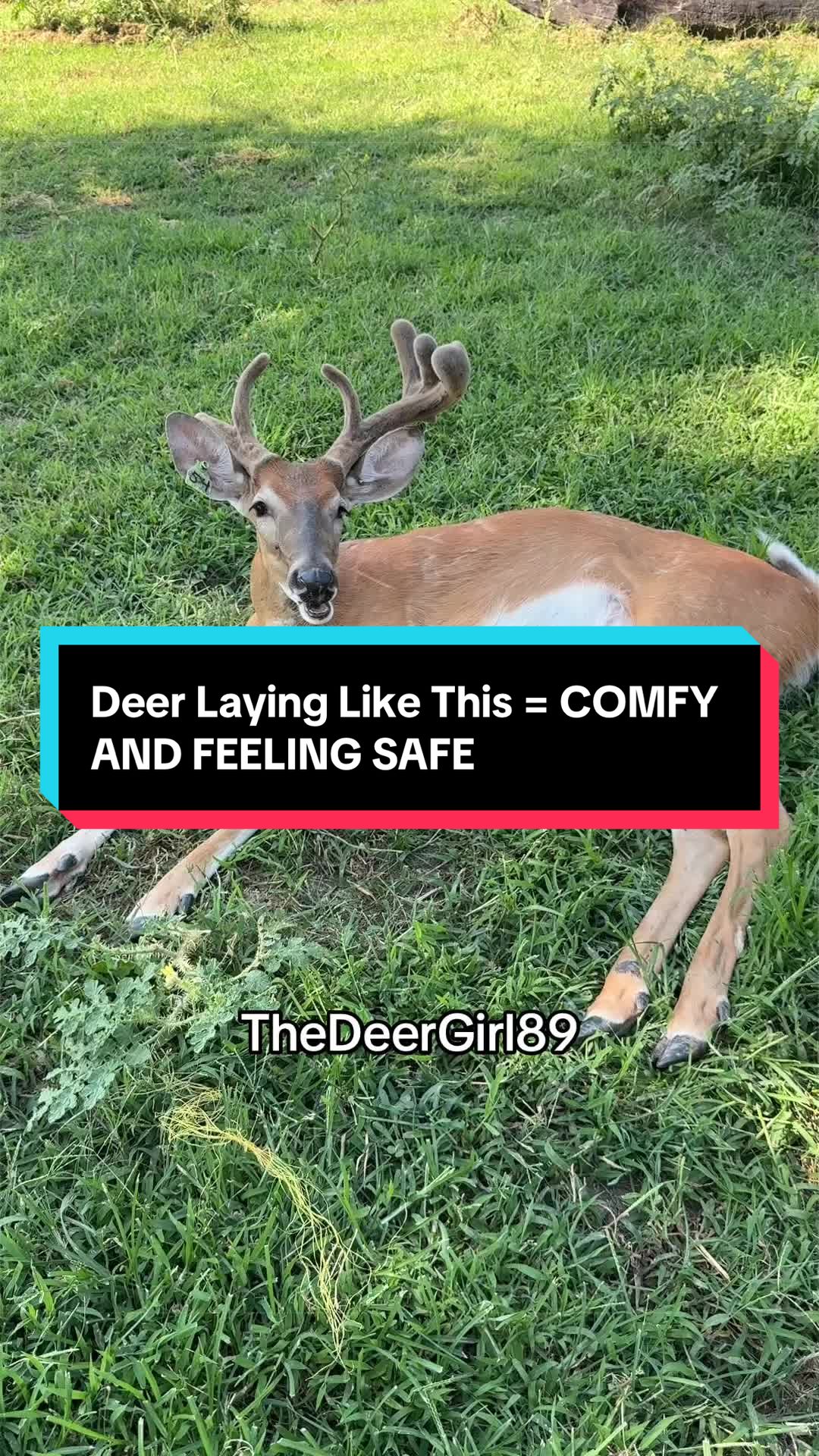 @The Durr Girl