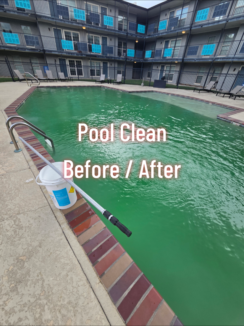 @Rex | BR Pool Pro