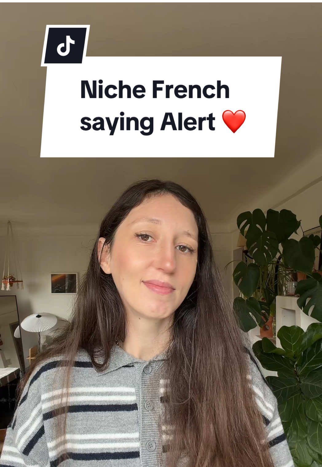 @Little Miss Frenchie