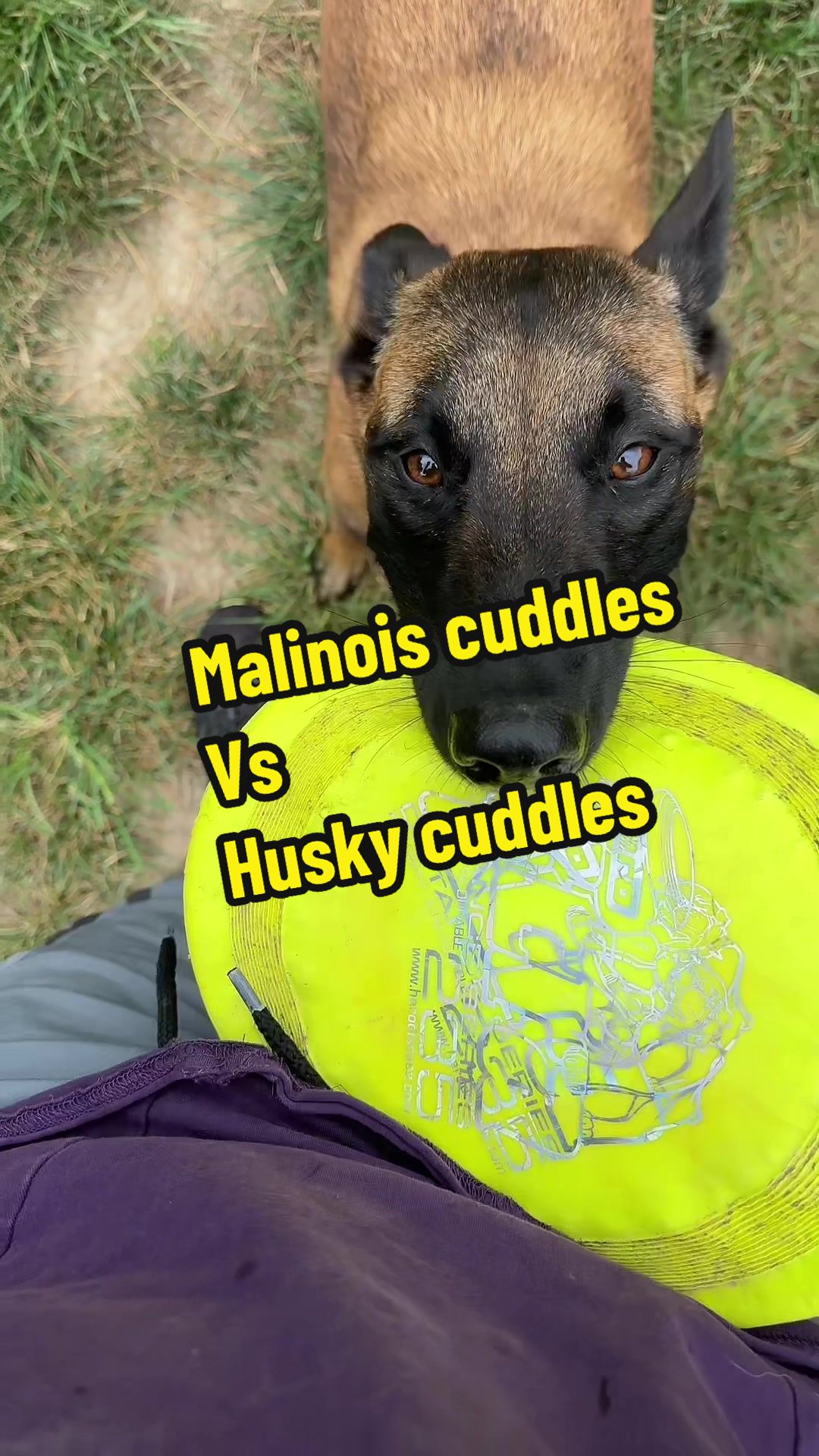 @FitHuskyDad