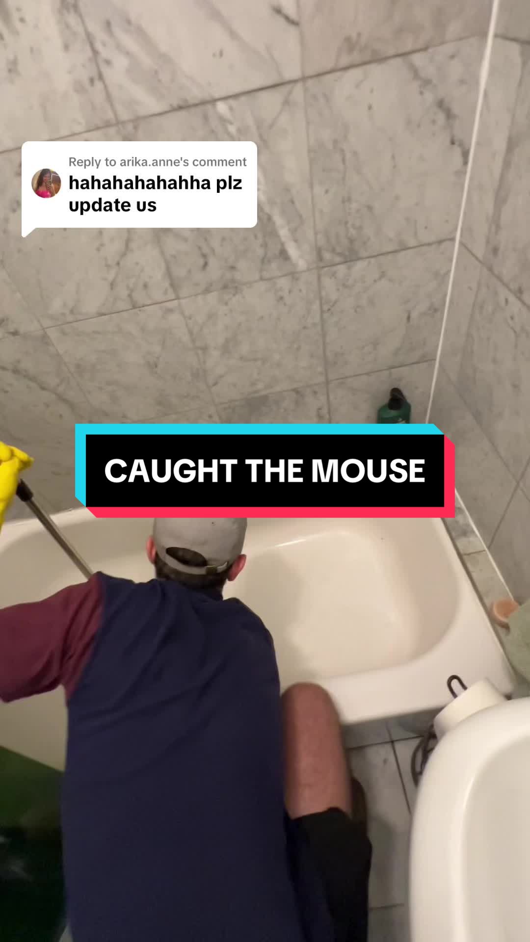 @Alex Mutammara