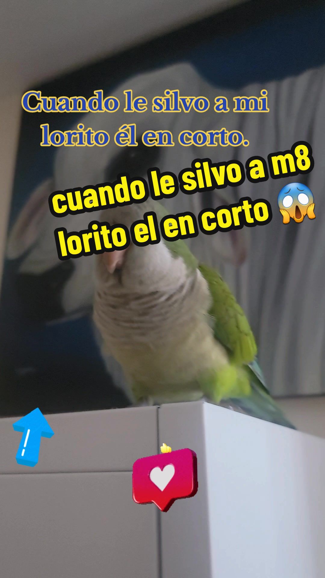 @Nico