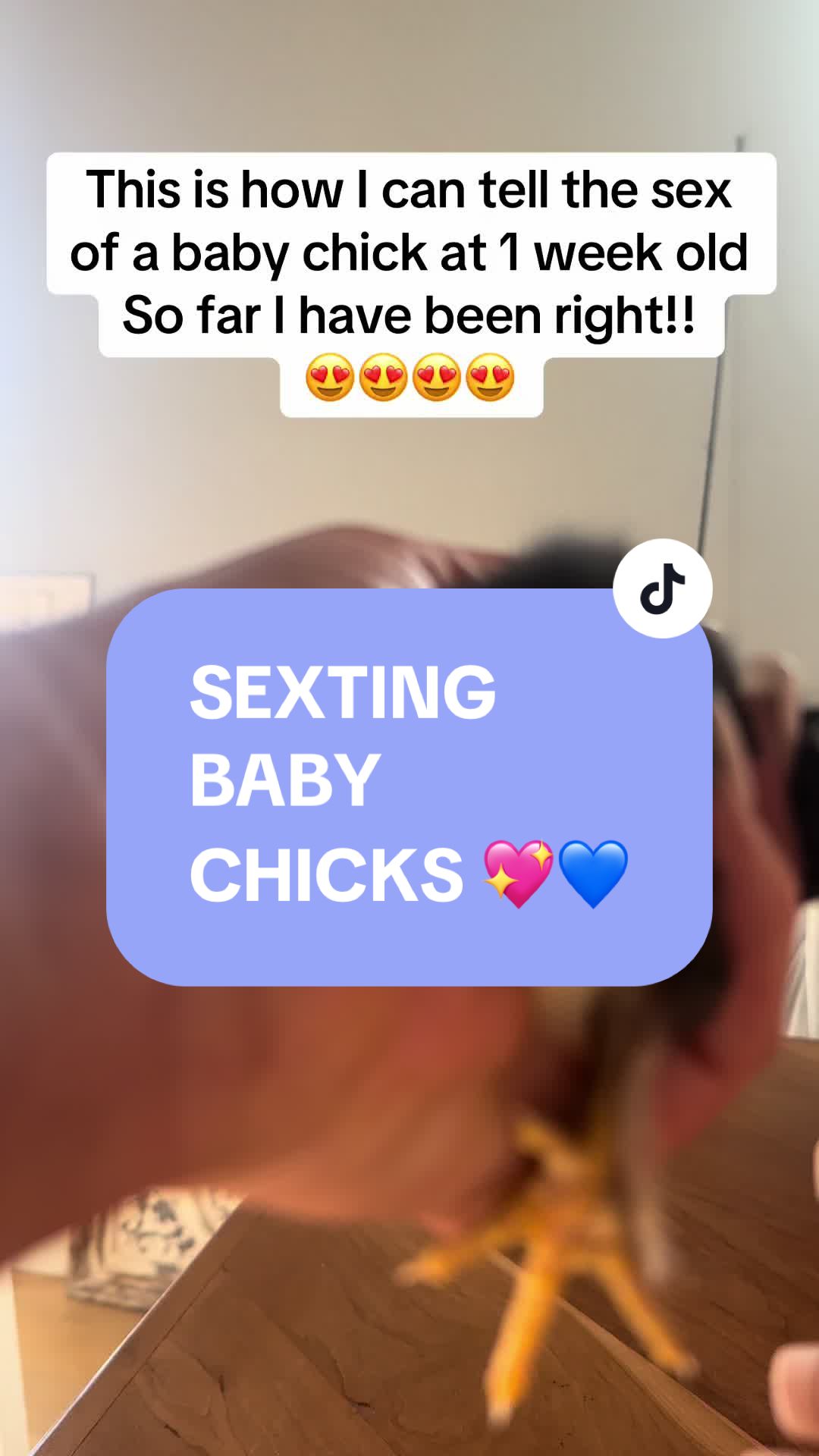 @NonniesFunnyFarm