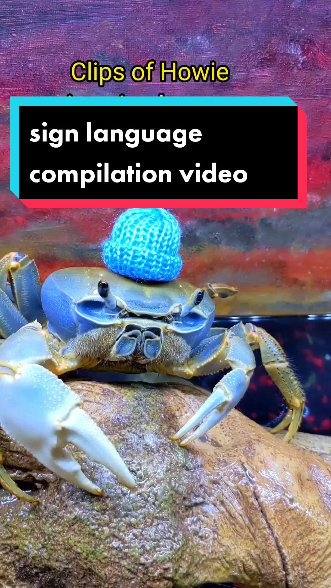 @Howie The Crab