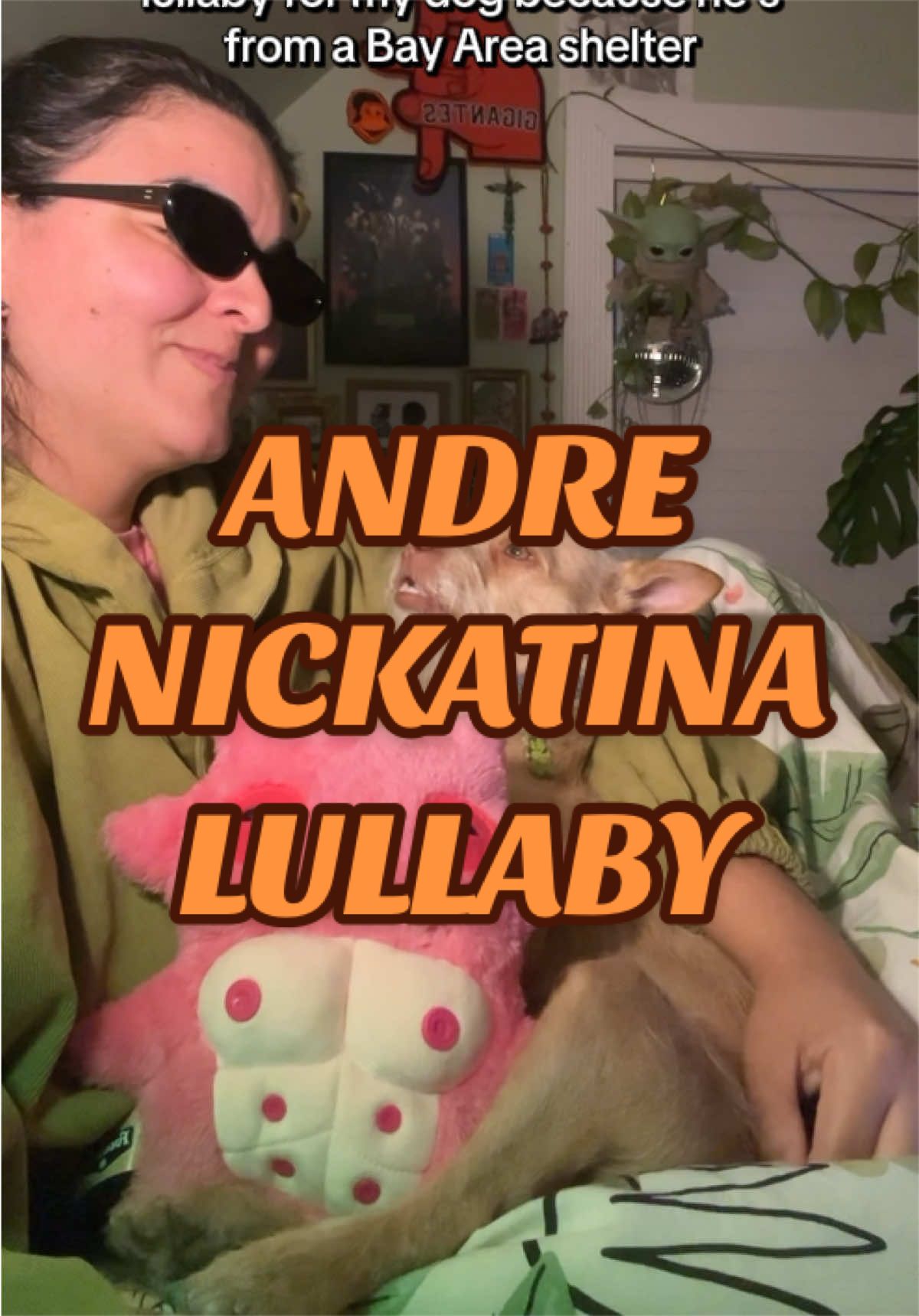 @What&rsquo;s New Sunny-Doo?
