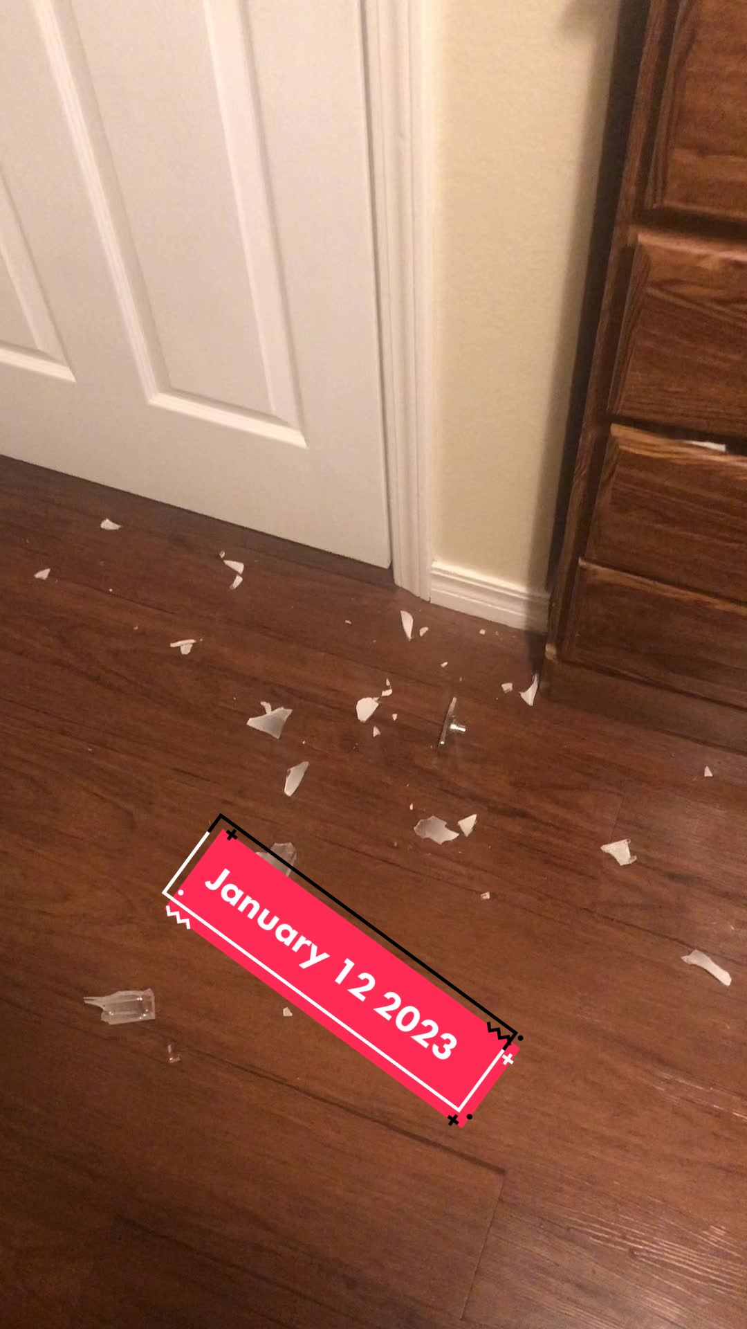 @Dailydoseofchaos